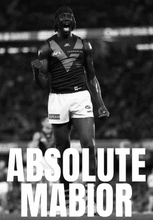 Hawthorn Hawks Afl GIF