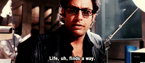 Image result for LIfe finds a way gif