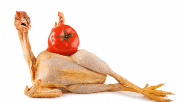 Nude Chicken GIF