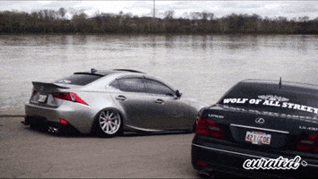200.gif?cid=fc005b08a24b62c2f55af57d00253aefef9cd94cbedd4f8d&rid=200.gif&ct=g