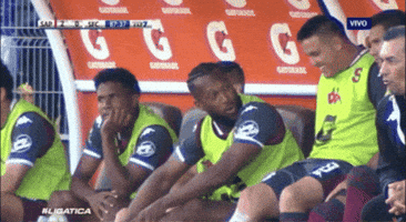 GIF by TD Más