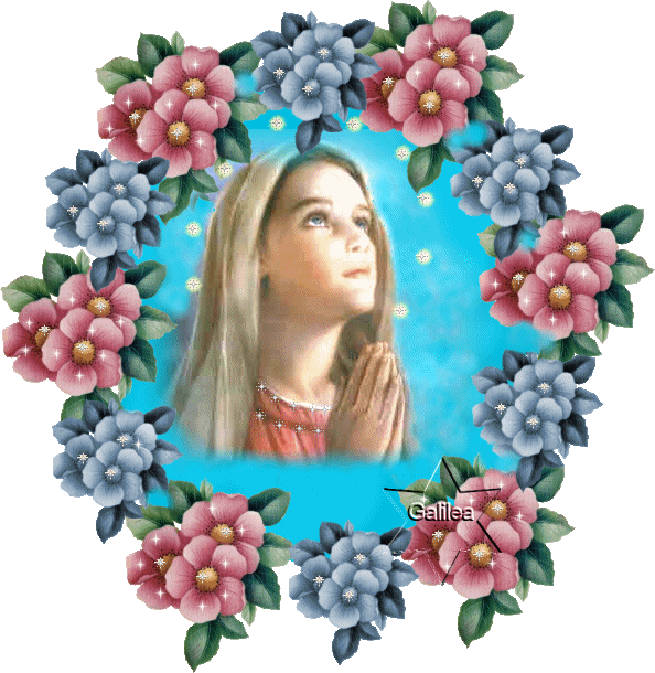 Maria Bello Sticker for iOS & Android | GIPHY