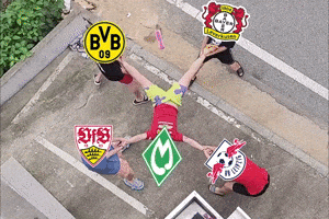 Werder Bremen GIF