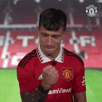 Happy Come On GIF by Manchester United