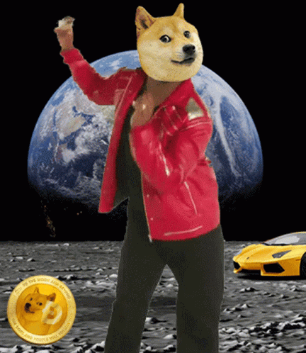 Crypto Doge GIF by MemeMaker