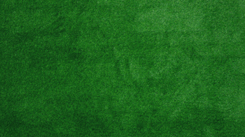 Football Animation GIF by Pioneer Athletics