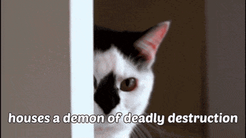 Plotting Catlateral Damage GIF by Xbox