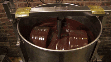 chocolate scifri GIF by Science Friday
