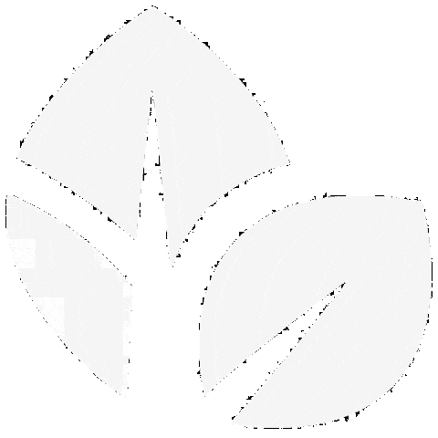White Leaves Sticker by Thrive Church
