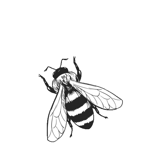 Busy Bee Sticker by FLYERALARM