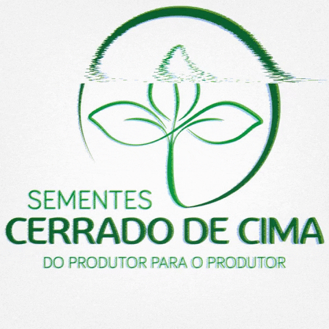 cerradodecima GIF