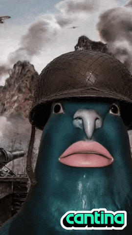 Pigeon Wwii GIF by Cantina
