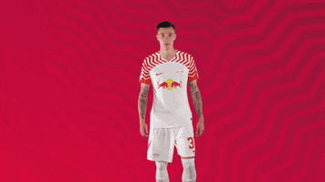 Lets Go Football GIF by RB Leipzig