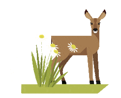 Deer Landleben Sticker by Lebensbaum
