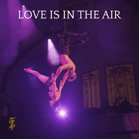 GIF by Teatro ZinZanni