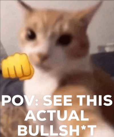 Cat Punch You GIF