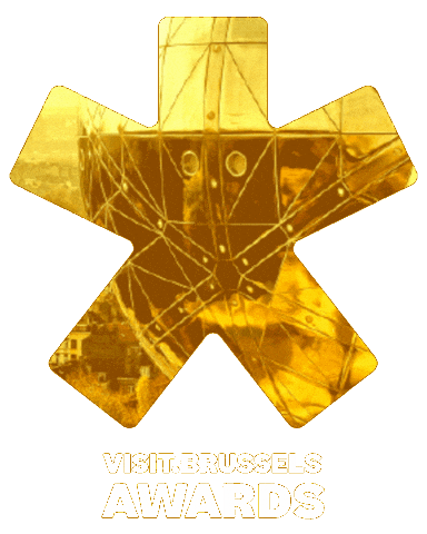 Stars Awards Sticker by visit.brussels