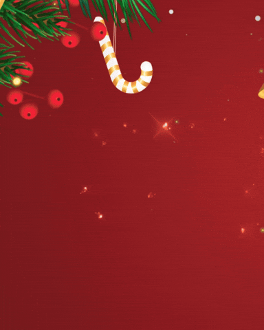 Merry Christmas GIF by We Set The Standards