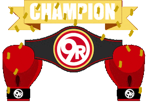 9 ROUND ORLEANS Sticker