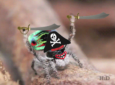 Pirates Gifs Primo Gif Latest Animated Gifs