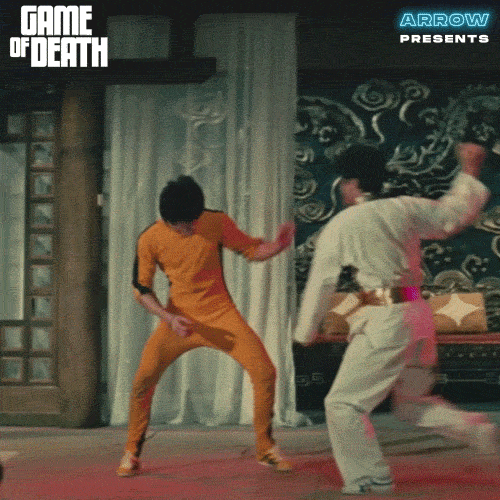 Martial Arts Film GIF by Arrow Video