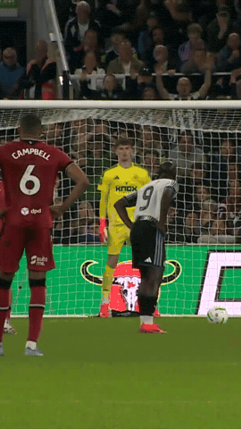 West Brom Goal GIF by West Bromwich Albion