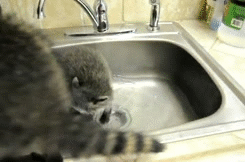 source.gif