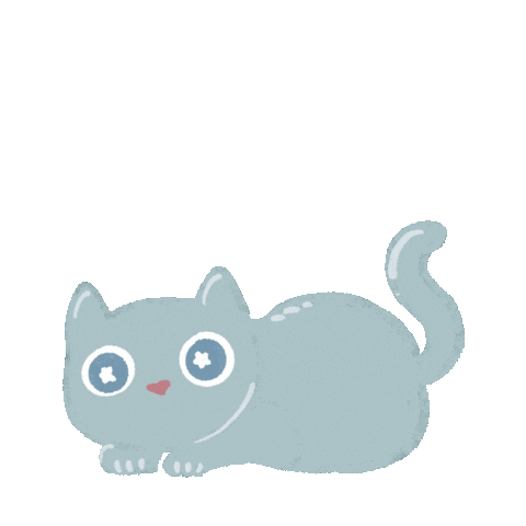 Cat Sticker
