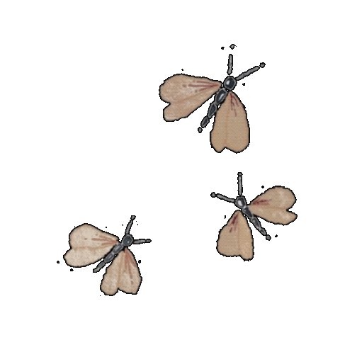 Spring Butterfly Sticker