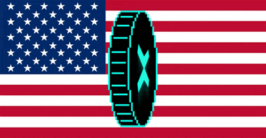 United States Usa GIF by MultiversX