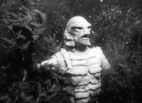 Creature From The Black Lagoon Gifs Get The Best Gif On Giphy creature from the black lagoon gifs
