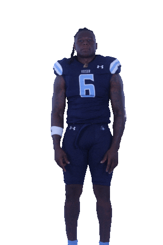 Keiser University Athletics Sticker