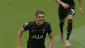 Happy Celebration GIF by Tottenham Hotspur