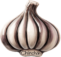 Turismo Iman Sticker by dōcō mobility