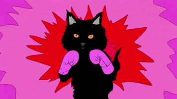 Knock Out Fight GIF by Epitaph Records