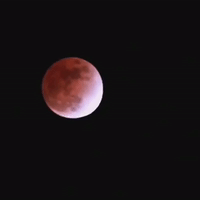 Hawaii Dazzled by 'Blood Moon' Lunar Eclipse