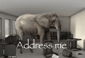 Elephant Address GIF