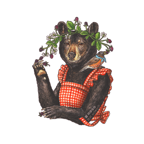 Bear Robin Sticker by nosopatches