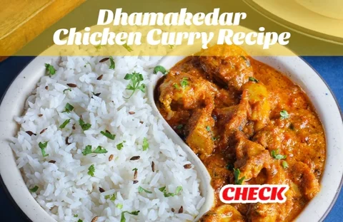 Chicken Curry GIF
