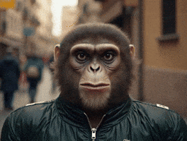 Fr GIF