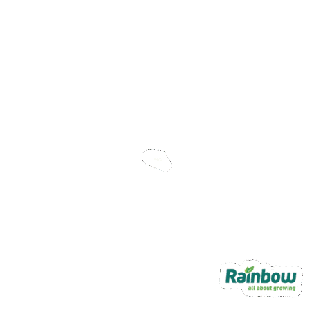 Rainbow Soja Sticker by rainbowagrobrasil