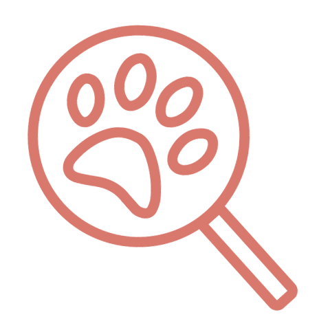 Sticker by Verhuisdieren