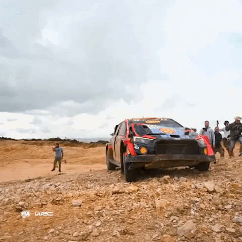 Driving No Problem GIF by FIA World Rally Championship