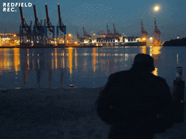 Morning After Beach GIF by Redfield Records