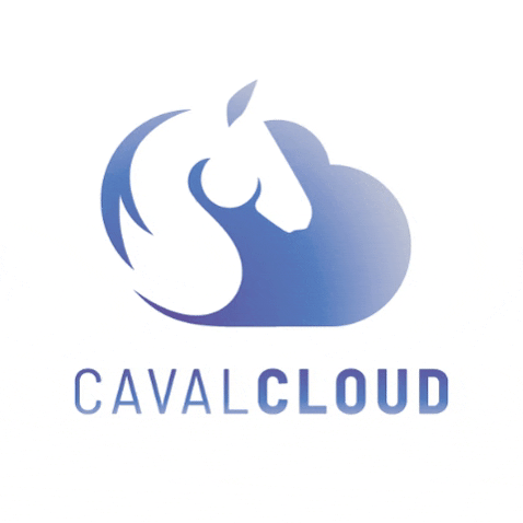 CavalCloud GIF