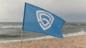 GSA GIF