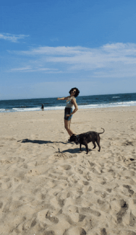 Kimksellsbk GIF