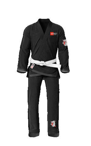 ANIMO BOXING & MMA GYM LTD Sticker