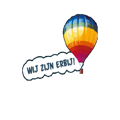 Tersteegeballonfestival Sticker by Ballonfestival Hardenberg