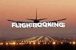 Flight GIF